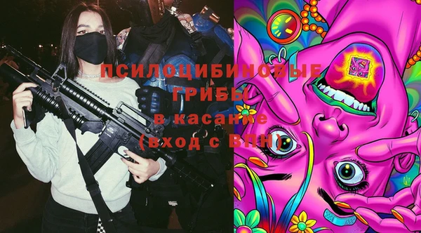 spice Армянск