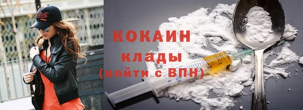 мдпв Корсаков