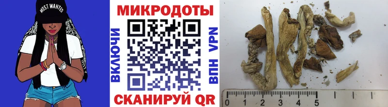 гидра зеркало  Губкинский  Галлюциногенные грибы Psilocybe 